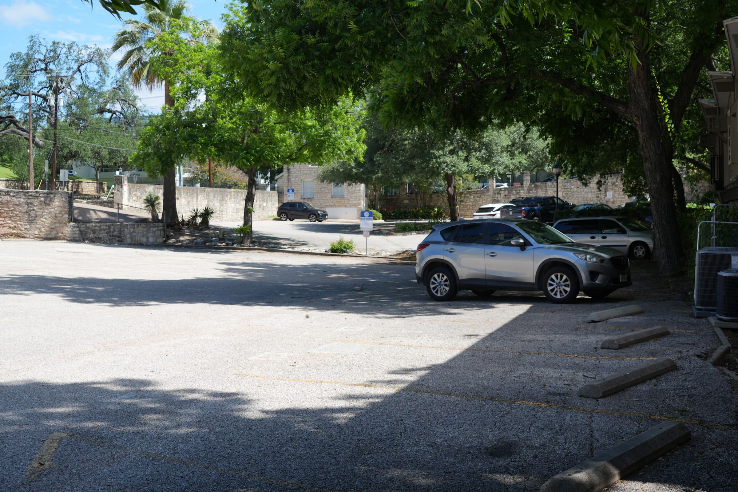 The open ANW lot with palm trees and limestone walls, mid-day light